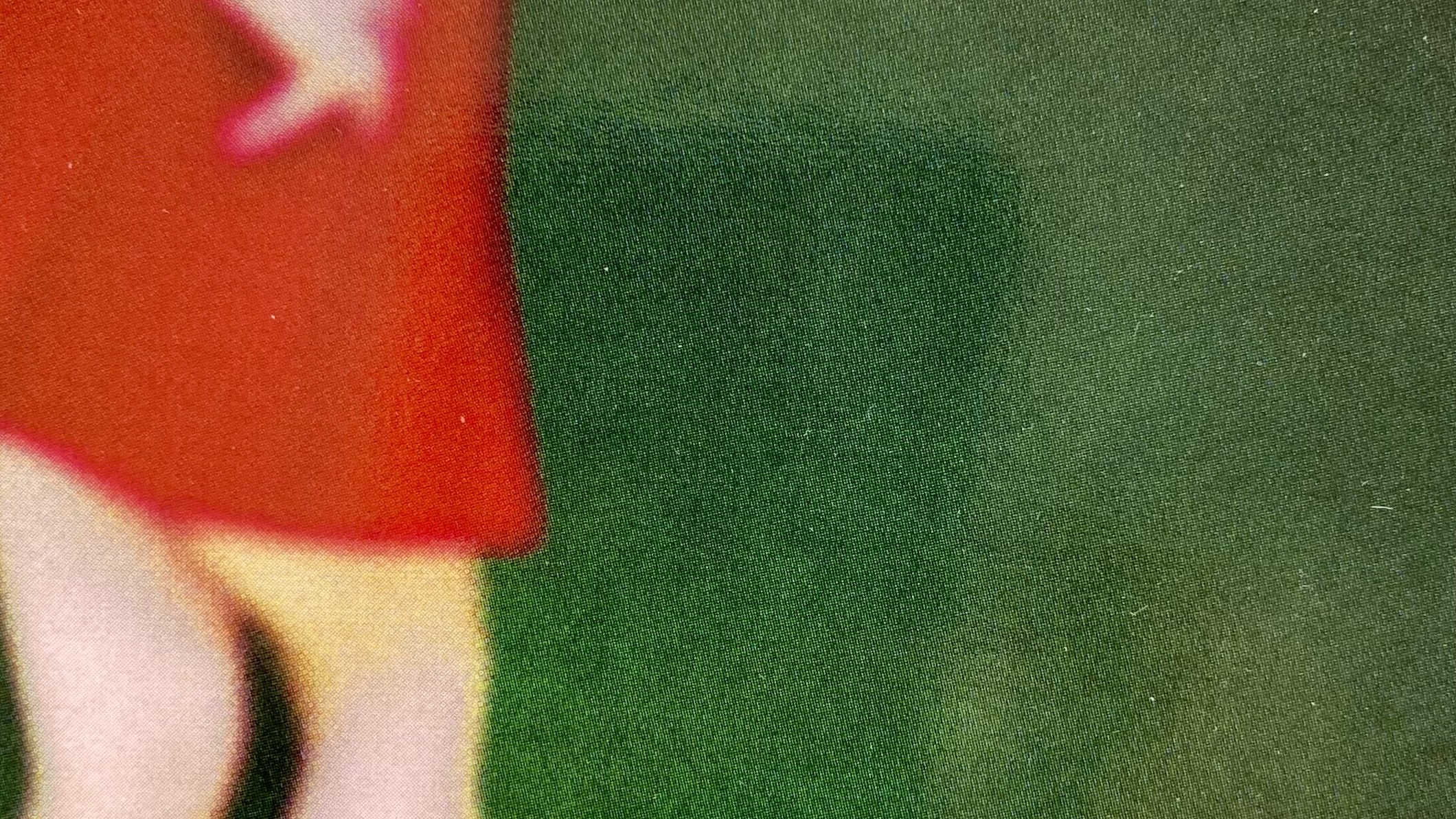 Illustratie van een vrouw met rood rokje tegen een groene achtergrond